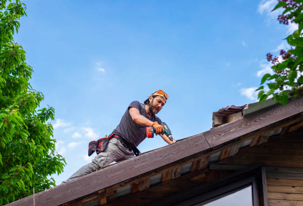 Best Roof Maintenance and Cleaning  in Albion, IL