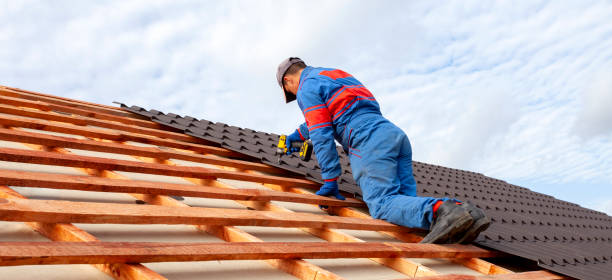 Best Metal Roofing Installation  in Albion, IL